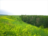 Заворожительные холмы вдалеке